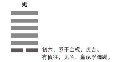 天风姤卦详解事业_天风姤卦详解_天风姤卦像