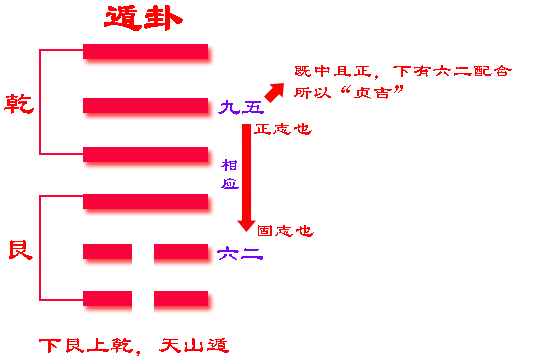 益卦变遁卦_64卦益卦_泽雷随卦随卦变水雷屯卦