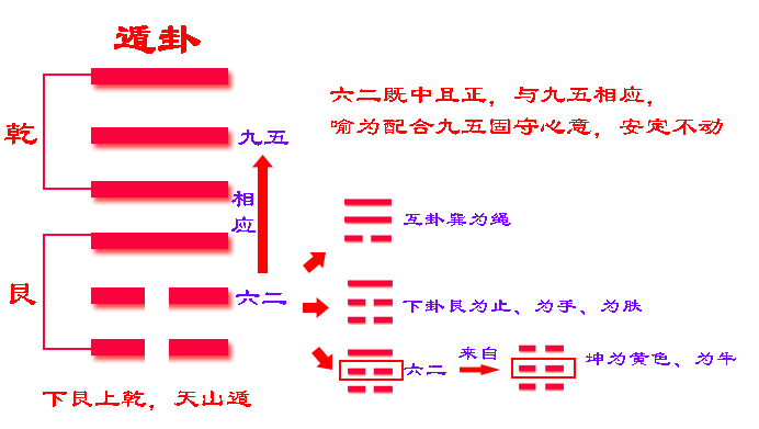 益卦变遁卦_64卦益卦_泽雷随卦随卦变水雷屯卦